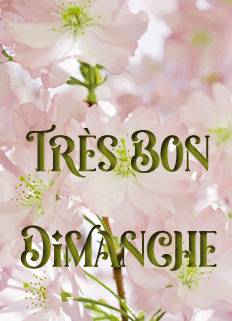 Gif Bon très dimanche